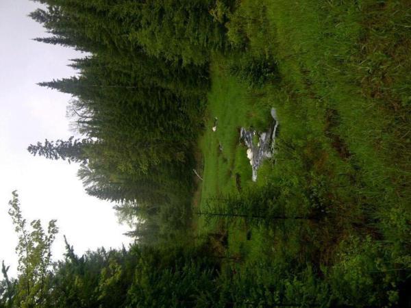 Holiday park Logging Chain 3*