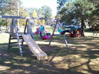 Logging Chain Holiday park